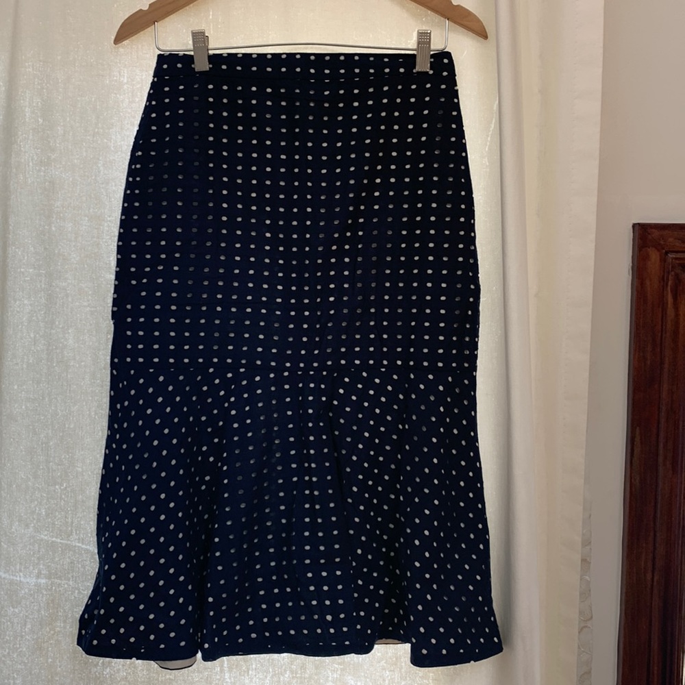Ann Taylor skirt